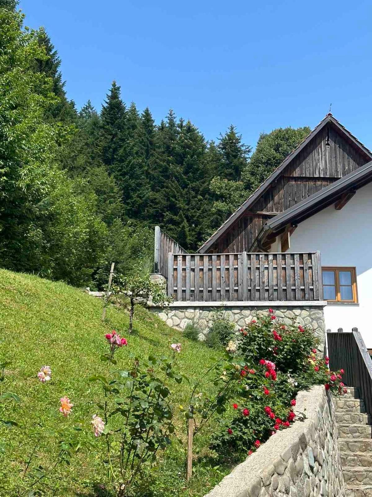 Rose Garden Apartment Ljubno ภายนอก รูปภาพ